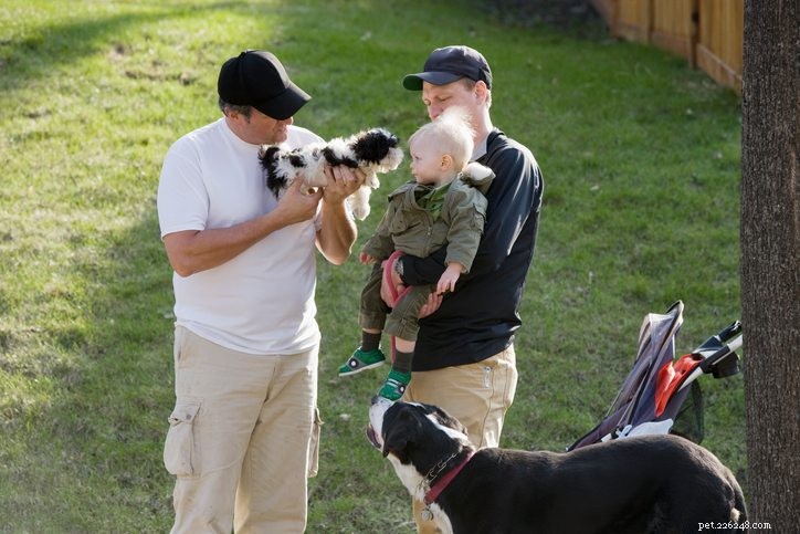 Smoothly Welcoming Your Dog to New Neighbors: A Step‑by‑Step Guide