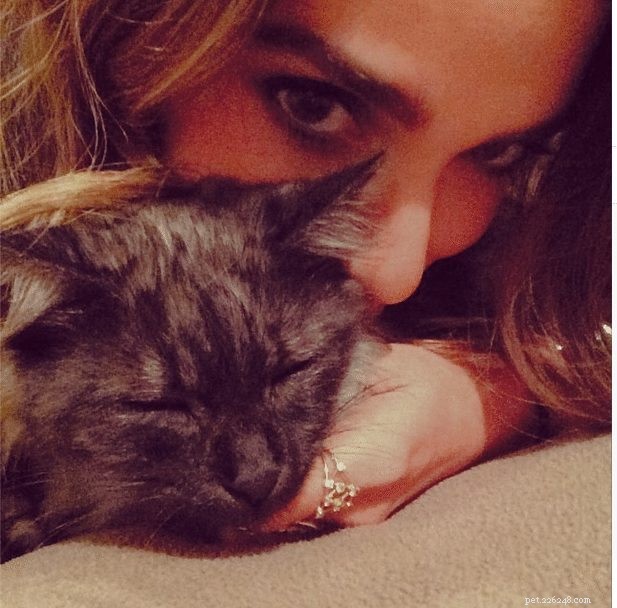 Nikki Reed & Ian Somerhalder Welcome New Cat to Their Family