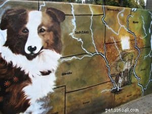 Bobbie the Collie: The True Inspiration Behind Lassie’s Journey