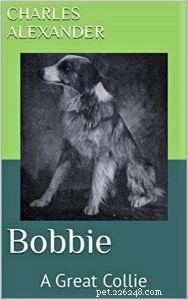 Bobbie the Collie: The True Inspiration Behind Lassie’s Journey