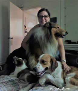 Vakaa: The Rough Collie Mobility Service Dog Championing Independence