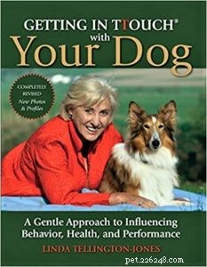 Do Dogs Experience Developmental Delays? Insights into Canine Behavioral Disorders