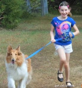 Why Adopting a Rescue Dog Is a Rewarding Choice