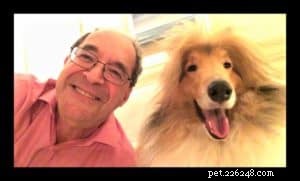 Cody Crazy Hair: The Exceptional Collie You Must Meet