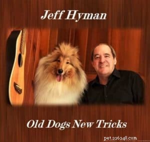 Cody Crazy Hair: The Exceptional Collie You Must Meet