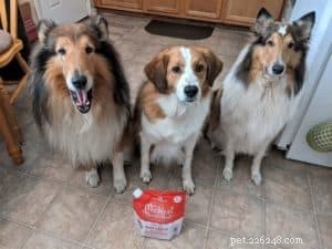 Review: Stella & Chewy’s Marie’s Magical Dinner Dust – Boost Your Dog’s Meals