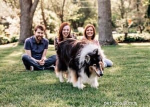 Pepsi the Collie: Celebrating a Beautiful Soul