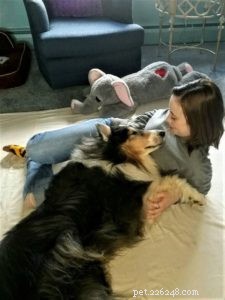 Pepsi the Collie: Celebrating a Beautiful Soul