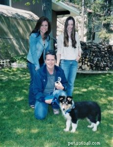 Pepsi the Collie: Celebrating a Beautiful Soul