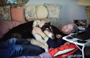 Pepsi the Collie: Celebrating a Beautiful Soul