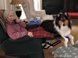 Pepsi the Collie: Celebrating a Beautiful Soul