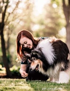 Pepsi the Collie: Celebrating a Beautiful Soul