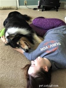 Pepsi the Collie: Celebrating a Beautiful Soul