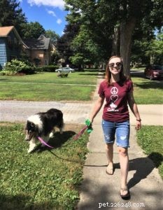 Pepsi the Collie: Celebrating a Beautiful Soul