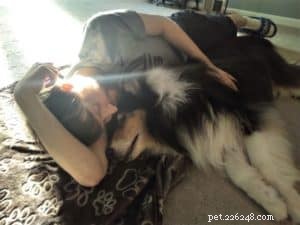 Pepsi the Collie: Celebrating a Beautiful Soul