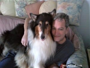 Pepsi the Collie: Celebrating a Beautiful Soul