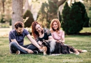 Pepsi the Collie: Celebrating a Beautiful Soul