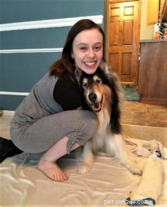 Pepsi the Collie: Celebrating a Beautiful Soul