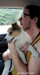 Vasya the Rough Collie: Training to Support Asthma, Panic Attacks, Anxiety, and Depression