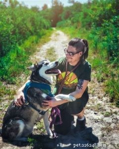 Vasya the Rough Collie: Training to Support Asthma, Panic Attacks, Anxiety, and Depression