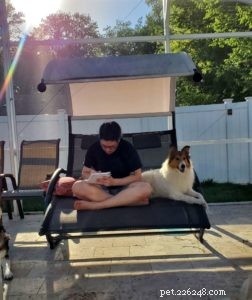 Vasya the Rough Collie: Training to Support Asthma, Panic Attacks, Anxiety, and Depression