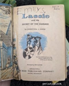 Lassie and the Secret of the Summer: A Timeless Tale of Family, Loyalty, and Adventure