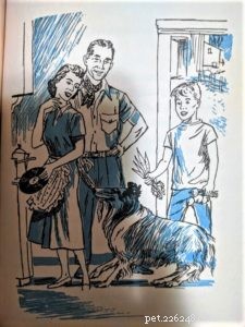 Lassie and the Secret of the Summer: A Timeless Tale of Family, Loyalty, and Adventure
