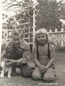 Queenie the Collie: Heroic Rescue That Saved a Child
