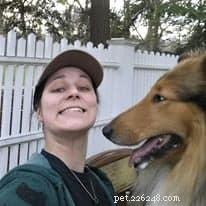 How a Collie Saved a Guinea Pig: A Heartwarming Rescue Story