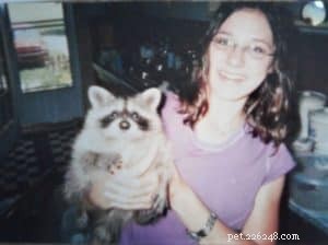How a Collie Saved a Guinea Pig: A Heartwarming Rescue Story