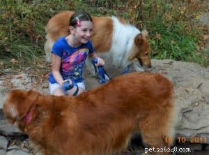 Pixie s Journey: From Multiple Homes to a Loving Forever Family