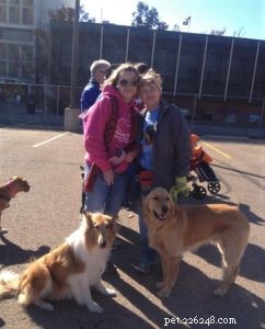Pixie s Journey: From Multiple Homes to a Loving Forever Family