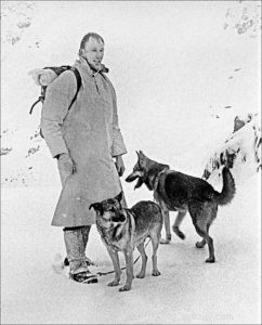 Finn: From Heirloom Collie to Mountain Search & Rescue Champion