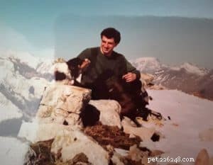 Finn: From Heirloom Collie to Mountain Search & Rescue Champion