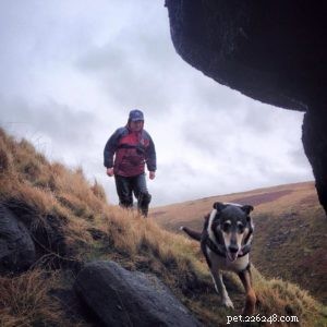 Finn: From Heirloom Collie to Mountain Search & Rescue Champion