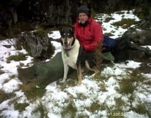 Finn: From Heirloom Collie to Mountain Search & Rescue Champion
