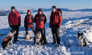 Finn: From Heirloom Collie to Mountain Search & Rescue Champion