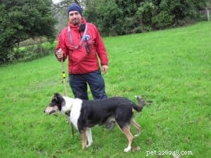 Finn: From Heirloom Collie to Mountain Search & Rescue Champion