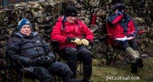 Finn: From Heirloom Collie to Mountain Search & Rescue Champion