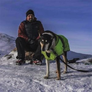 Finn: From Heirloom Collie to Mountain Search & Rescue Champion