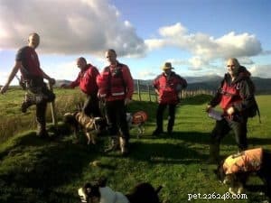 Finn: From Heirloom Collie to Mountain Search & Rescue Champion