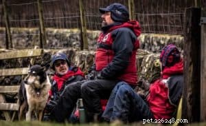Finn: From Heirloom Collie to Mountain Search & Rescue Champion