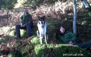 Finn: From Heirloom Collie to Mountain Search & Rescue Champion