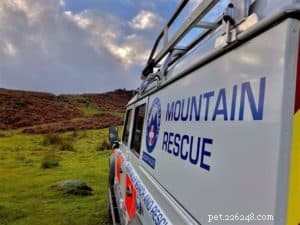 Finn: From Heirloom Collie to Mountain Search & Rescue Champion