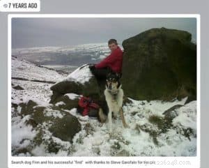 Finn: From Heirloom Collie to Mountain Search & Rescue Champion
