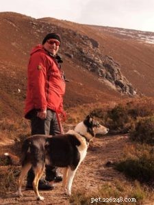 Finn: From Heirloom Collie to Mountain Search & Rescue Champion
