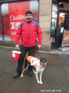 Finn: From Heirloom Collie to Mountain Search & Rescue Champion
