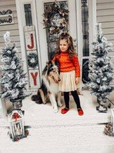 The Ultimate Holiday Gift Guide for Collie Lovers