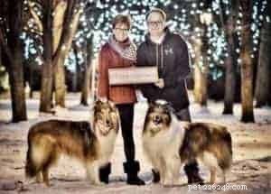 The Ultimate Holiday Gift Guide for Collie Lovers