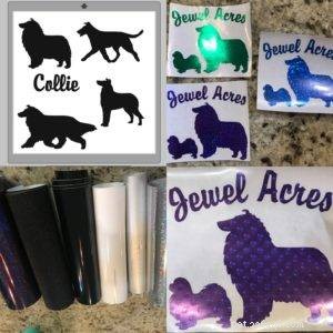 The Ultimate Holiday Gift Guide for Collie Lovers